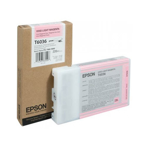 Epson T603600 ink