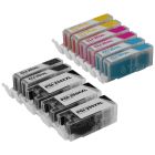 PGI-255XXL and CLI-251XL Set of 11 Cartridges for Canon- Great Deal!