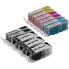 PGI-255XXL and CLI-251XL Set of 11 Cartridges for Canon- Great Deal!
